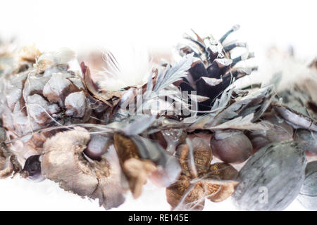 Weihnachtskränze Stockfoto