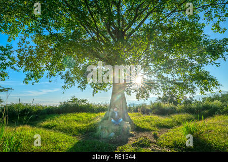 Die alte Bodhi-baum ist in der Zeit der sich wandelnden Blätter im Winter, wenn die Sonne scheint durch den Baum der neue Tag im Hochland von Vietnam zu begrüßen Stockfoto