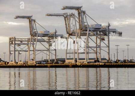 Shipping Container Krane im Hafen von Oakland. Stockfoto