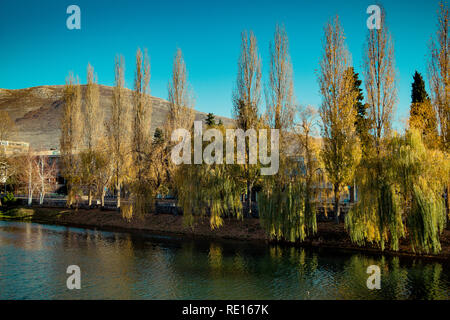 Trauerweide Bäume am Ufer eines Flusses im Herbst Stockfoto