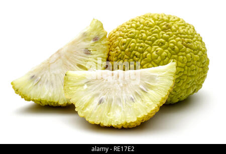 In Scheiben geschnitten Osage Orangen oder Maclura auf weißem Hintergrund Stockfoto