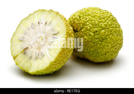 In Scheiben geschnitten Osage Orangen oder Maclura auf weißem Hintergrund Stockfoto
