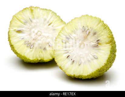 In Scheiben geschnitten Osage Orangen oder Maclura auf weißem Hintergrund Stockfoto