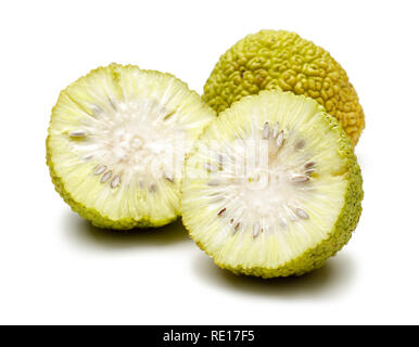 In Scheiben geschnitten Osage Orangen oder Maclura auf weißem Hintergrund Stockfoto