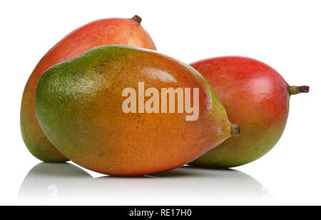 Ganze Mango Früchte auf weißem Hintergrund Stockfoto
