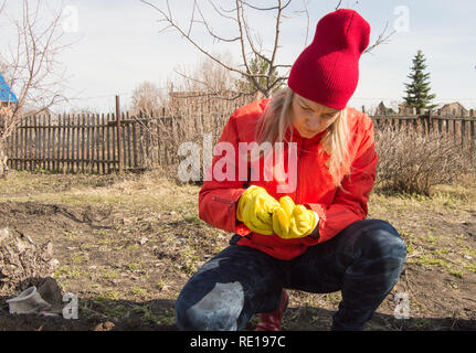 Eine junge Frau untersucht sorgfältig die Samen vor dem Pflanzen in die Erde im Garten an einem Frühlingstag. Stockfoto