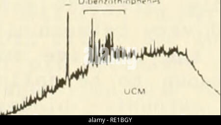 . Ökologische Studie der Amoco Cadiz Ölpest: Bericht des NOAA-CNEXO Gemeinsame wissenschaftliche Kommission. Amoco Cadiz (Schiff); Ölunfälle - Umweltaspekte Frankreich; Ölunfälle - Umweltaspekte Nordatlantik. jlfjAl^ M., (El geölt Strand AihvlJKnl Pflf n.,.. Â * O iMntdin â n-r-. Wenn) Strand ilillW CnmiiuMi H-4. Abbildung 5. Gas Chromatogramme der aromatischen/unsaturate Bruchteil hydrocar-bons aus der Bretagne Sedimente extrahiert im März 1979 gesammelt (0-5 cm Tiefe Intervall). 170. Bitte beachten Sie, dass diese Bilder aus gescannten Seite Bilder, digitall wurden extrahiert werden Stockfoto