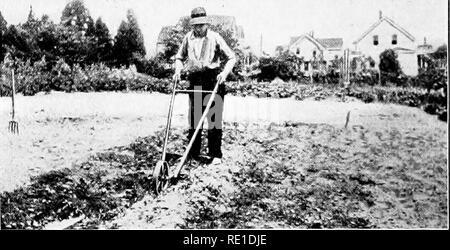 . Garten Schritte; ein Handbuch für die Bewunderer im Gemüseanbau. Gemüseanbau. 8 GARTEN SCHRITTE Nördlich von diesem Platz gibt es einen Streifen von Kies. Dies war die Krone eines sHght Erhöhung im Boden, aus dem die oberen Boden wegen fahrlässigen Anbau gewaschen wurde. Dieses Stück wäre nutzlos für die meisten Pflanzen, aber Tomaten, Mais oder Bohnen gut tun." Mit viel Milch unter Dressing. Drehen über den Boden mit einem Rad Pflug der Pflug sich Unkraut Wurzeln bis zu der Sonne, die sie tötet. Es spart auch Humus aus Waschen. Die Hügel, Kürbisse auch auf dieser Kies Streifen gedeihen. Stockfoto