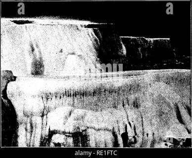 . La Biologie des Plantes... Ökologie der Pflanzen. Abb. 21, 22. - Bassins ctagis (Marmor Waschbecken) 4 Mammut Federn.foririL par I' Aktion des Cyanophycees des calcaircs thcrmes (Depots). Phot. Prof. E. Chaix.. Bitte beachten Sie, dass diese Bilder sind von der gescannten Seite Bilder, die digital für die Lesbarkeit verbessert haben mögen - Färbung und Aussehen dieser Abbildungen können nicht perfekt dem Original ähneln. extrahiert. Chodat, Robert, 1865-1934. Gen?ve [etc. ] E? A usgabe Atar Stockfoto