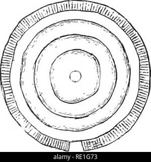 . Elementare Pflanzenphysiologie. Pflanzenphysiologie. Austausch und die Bewegungen von Gasen und Flüssigkeiten. 55 Druck von einem langen Messer-Blade. Beachten Sie die Position und die Form der zwei Teile ein paar Minuten später. Welche Teile des Stammes waren die meisten sehr prall? Was ist die Ursache der Krümmung der getrennten Teile? (Abb. 32.) Die hohlen Stiel mit einer Blume Löwenzahn {Taraxacuiii Teilen) in mehrere Längsstreifen, und beachten Sie die Wirkung dieser Streifen. Alle oben genannten Material in einer flachen Schale enthalten - 5 Prozent ing, Lösung von Kochsalz, für eine halbe Stunde, und vergleichen Sie die Positionen übernommen, wenn Plas Stockfoto