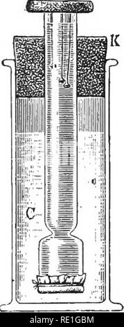 . Elementare Pflanzenphysiologie. Pflanzenphysiologie. Austausch und die Bewegungen von Gasen und Flüssigkeiten. 49 Die Osmose spielt auch eine wichtige Rolle. Die Art der Dieser Prozeß kann durch die folgenden Demonstrationen: 44 veranschaulicht werden. Osmose. - Glatt die Enden eines Abschnitts aus Glas tub-ing einen Meter lang, mit einem Innendurchmesser von 5 mm, und an einem Ende einen Gummistopfen mit einer Perforation. Genießen Sie einen Abschnitt der Dialysator Schlauch 20 cm in Länge in Wasser für ein paar Minuten. Ein Ende Falte in eine kompakte Masse, dann nach hinten klappen, und fest mit einem kleinen starke Schnur. Re: bewegen Sie den Stopper fr Stockfoto