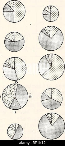 . Ökologische Studie der Amoco Cadiz Ölpest: Bericht des NOAA-CNEXO Gemeinsame wissenschaftliche Kommission. Amoco Cadiz (Schiff); Öl; Ölunfälle. 17 © 21 © 25 29 T 33. Xj v. Bitte beachten Sie, dass diese Bilder sind von der gescannten Seite Bilder, die digital für die Lesbarkeit verbessert haben mögen - Färbung und Aussehen dieser Abbildungen können nicht perfekt dem Original ähneln. extrahiert. NOAA-CNEXO Gemeinsame wissenschaftliche Kommission. [Rockville, MD: US Dept. für Handel, nationale ozeanische und atmosphärische Leitung; [Paris]: Centre national pour l'exploitation des océans Stockfoto