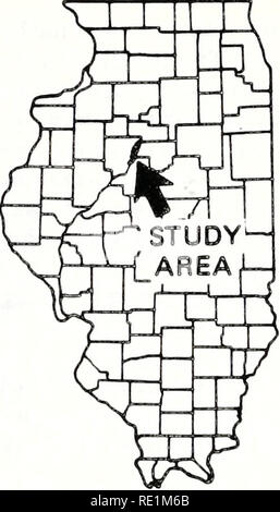 . Ökologische Struktur und Funktion der größeren Flüsse in Illinois "großen Fluss LTER": 1985 Stand der Arbeiten. Ökologie; Ökologie; Langfristige ökologische Forschung. s^!!?^ c R2^e4-. Bitte beachten Sie, dass diese Bilder sind von der gescannten Seite Bilder, die digital für die Lesbarkeit verbessert haben mögen - Färbung und Aussehen dieser Abbildungen können nicht perfekt dem Original ähneln. extrahiert. Funken, Richard E; Illinois. Natural History Survey Division. Aquatische Biologie; National Great Rivers Forschung und Ausbildung Mitte - NGRREC. Havanna, Illinois: Fluss Research Laboratory, Kranke Stockfoto