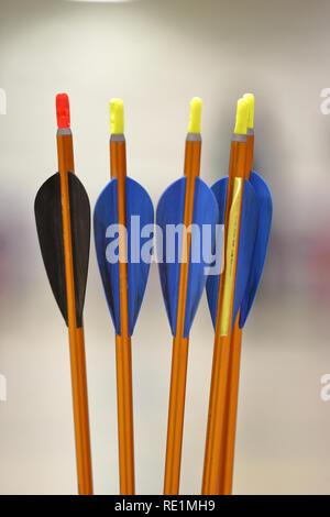 Jugend Bogenschießen Pfeile, bunte close-up Stockfoto