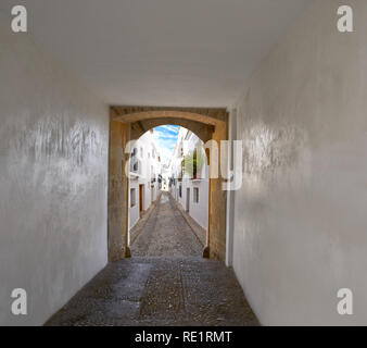 Altea Foto Illustration arch und das Dorf in der Provinz Alicante in Spanien Stockfoto