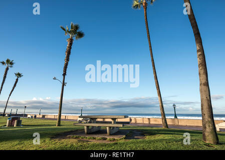 Blick auf den Park entlang der Mission Beach Boardwalk. San Diego, Kalifornien, USA. Stockfoto