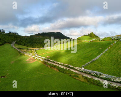 Drone Ansicht von erstaunlichen Azoren Landschaft. Kaffee Bauernhof im grünen Felder an der Nordküste der Insel San Miguel, Azoren, Portugal. Blick aus der Vogelperspektive, Antenne Stockfoto