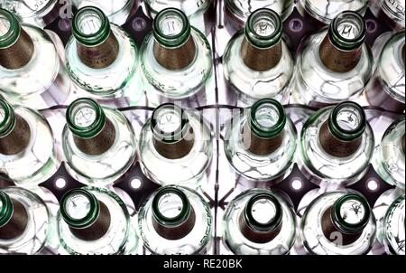 Leere Bierflaschen in einem Kasten Bier, Flaschen Stockfoto