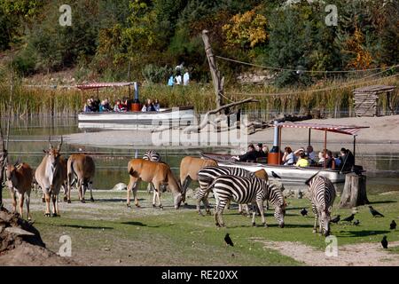 Savannah an einem See, Gehäuse mit verschiedenen afrikanischen Tieren, Zoom Erlebniswelt Zoo, Gelsenkirchen, Ruhrgebiet Stockfoto