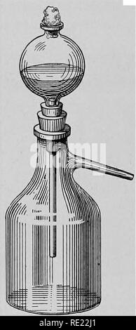 . Pharmazeutische Bakteriologie, mit besonderem Bezug auf die Desinfektion und Sterilisation. Die Bakteriologie. S6 PHARMAZEUTISCHE BAKTERIOLOGIE. h. Tiefe stab Kultur - wo ist Wachstum die meisten aktiv? Wenn unten, zeigt es an anaeroben Tendenzen. Falls begrenzt der mittleren bis oberen, gibt es de-cidely aerobe Tendenzen. (Die meisten Bakterien sind entschieden, Aerobic, d. h., Sie benötigen Sauerstoff zu gedeihen.) Der Test-tube Kulturen nicht unbedingt reine Kulturen darstellen, und der Schüler nicht wissen, ob die Wucherungen in der Test-Tubes die vorherrschenden bakteriellen Flora in der Stoff, aus dem die inocu dar Stockfoto