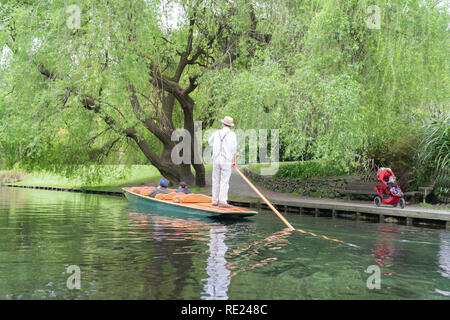 CHRISTCHURCH, NEUSEELAND - 10. Oktober 2018; Stochern auf dem Avon River Touristen unter Riverside Weeping Willow Tree gestochert wird. 1 Stockfoto