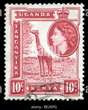 Briefmarke aus britischen Ostafrika (Kenia, Uganda, Tanganika) im Queen Elizabeth II und Blick Serie 1954 ausgestellt Stockfoto