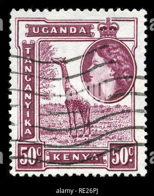 Briefmarke aus britischen Ostafrika (Kenia, Uganda, Tanganika) im Queen Elizabeth II und Blick Serie 1954 ausgestellt Stockfoto