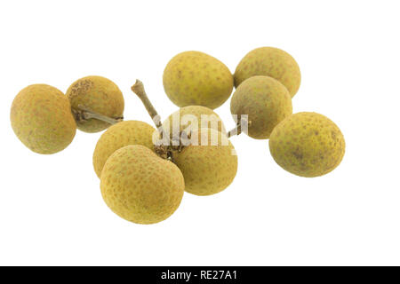 Longan isoliert auf weißem Hintergrund Stockfoto