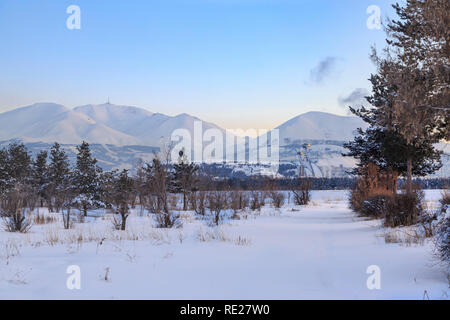 Palandoken Berge aus dem Wald mit Schnee in Erzurum, Türkei Stockfoto