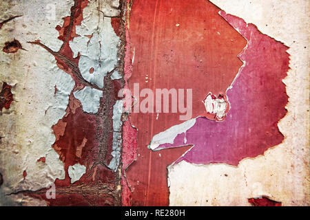 Beschädigte Verputz auf alte Mauer. Hintergrund Textur mit Platz für Text, oder für die Verwendung als Grunge image Ovelay Stockfoto