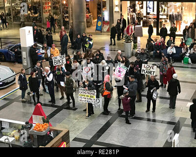 Southampton, Großbritannien - 12 Jan 2019: Demonstraters Protest im Einkaufszentrum West Quay. Dieser friedlichen Demonstration ist die Luftqualität in Southa zu verbessern. Stockfoto