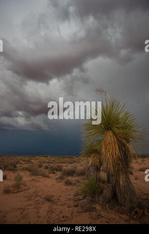 Otero MESA, Otero County, New Mexico, USA Stockfoto