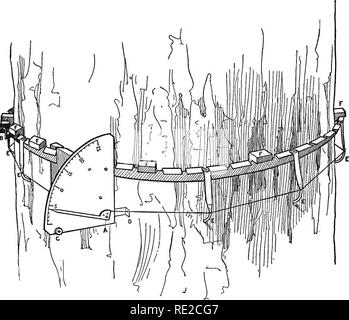. Wachstum in den Bäumen. Wachstum (Pflanzen); Bäume. Wachstum in den Bäumen. 17 Wenn der Draht in Anpassung geknickt wurde, Brüche auftreten, nach ein paar Tagen an die üblichen Spannungen.. Abb. 3. - eine Form der durchmesserdendrometer. Eine Einkreisung Band aus verzinktem Stahlband wird zusammen mit B und beruht auf Holzklötze auf die Rinde in F, F, F, F, etc. Einem umkreisenden Draht Pasten durch geeignete Bohrungen in flexible Arme auf dem unterstützenden Stahlband befestigt. Dieser Draht an einem Pfosten auf der inneren Seite des Dial verankert ist, das andere Ende am kurzen Arm des Anzeige montiert wird bei A. Die Erweiterung der Stockfoto