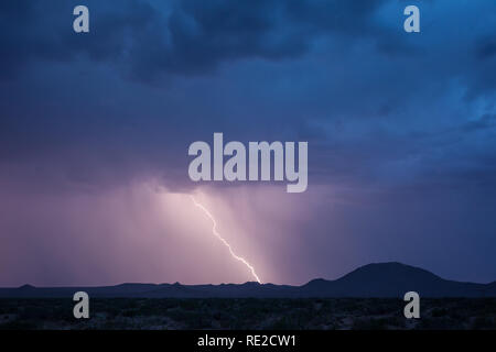 Camel Mountain, Dona Ana County, New Mexico, USA Stockfoto