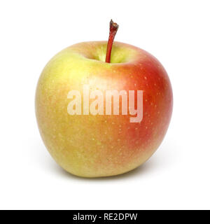 Single Gala Apfel auf weißem Hintergrund Stockfoto