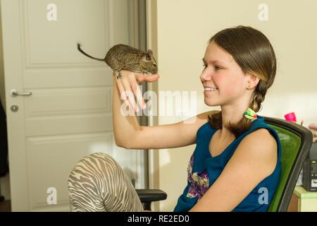 Junges Mädchen mit einem Haustier auf ihre Hand-chilenischen Eichhörnchen Degus, Liebe und Pflege für Haustiere Stockfoto