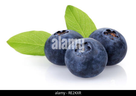 Frische Heidelbeeren mit Blättern auf weißem Hintergrund Stockfoto