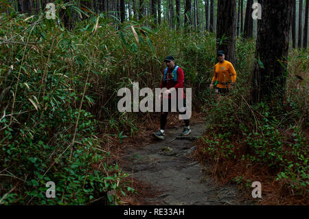 Southern Pines, North Carolina, USA. Jan, 2019 19. Jan. 19, 2019 - Southern Pines N.C., USA - Douglas Failla in Columbia, South Carolina, und Glen Failla, Portland, Oregon eine Runde während der 10. jährliche Weymouth Woods 100 km Ultra Marathon in der Weymouth Holz Natur bewahren. Läufer benötigt 14 Runden auf dem 4,47 Kilometer Kurs für 62.58 Km im Rahmen der 20-stündigen Zeitzuteilung zu vervollständigen. Credit: Timothy L. Hale/ZUMA Draht/Alamy leben Nachrichten Stockfoto