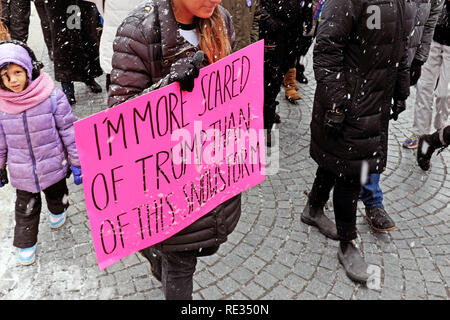 Cleveland, Ohio, USA, 19. Januar, 2019. Der erwartete Sturm Harper, der erste große Sturm für Cleveland, ist auf einem Schild in der 2019 Frauen März in Downtown Cleveland, Ohio durchgeführt werden. Das Schild liest "Ich habe mehr Angst von Trumpf als der Schneesturm". Credit: Mark Kanning/Alamy Leben Nachrichten. Stockfoto