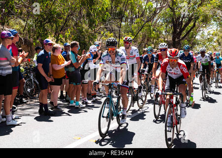 Adelaide, South Australia, Australien. Jan, 2019 20. Peter Sagan, Bora Hansgrohe, am Ende von Phase 6 der Tour Down Under, Australien am 20. Januar 2019 Credit: Gary Francis/ZUMA Draht/Alamy leben Nachrichten Stockfoto