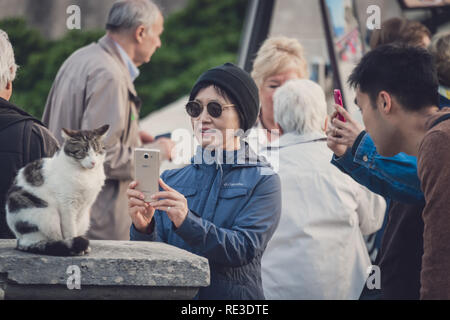 Dubrovnik, Kroatien - April 2018: Chinesische Touristen fotografieren mit Ihrem Smartphone eine Katze sitzt auf einer Brücke vor den Toren zu t Stockfoto