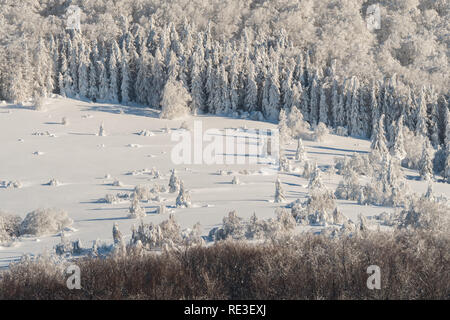 Schönen verschneiten Wald in den Bergen. Winterlandschaft des Bieszczady-gebirge. Polen Stockfoto