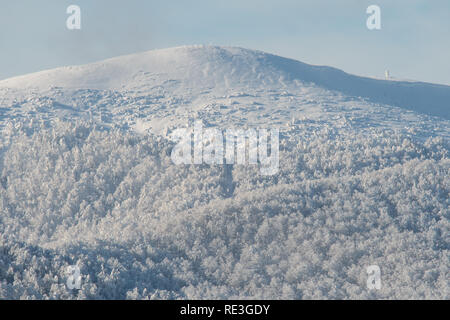 Berg Wiese und Wald in einer Winterlandschaft. Wielka Rawka. Bieszczady-gebirge. Polen Stockfoto