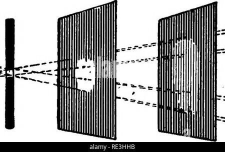. Pathogene Mikroorganismen. Ein text-Buch der Mikrobiologie für Ärzte und Studenten der Medizin. (Auf Williams' Bakteriologie). Bakteriologie; pathogenen Bakterien. Ich 6 BAKTERIOLOGIE in der Konstruktion des Mikroskops. Abbe (ca. 1880) führte seine Unterphase Kondensator, die die intensive Ausleuchtung des mikroskopischen Bereich vorgenommen. In Zusammenarbeit mit dem Zeiss, Abbe (1886) entwickelt eine Objektiv System mit mehr Perfekte chromatische Korrektur als bisher erreicht wurde. Diese Ziele sind von verschiedenen Arten von Glas gebaut und haben zusätzlich ein len Stockfoto