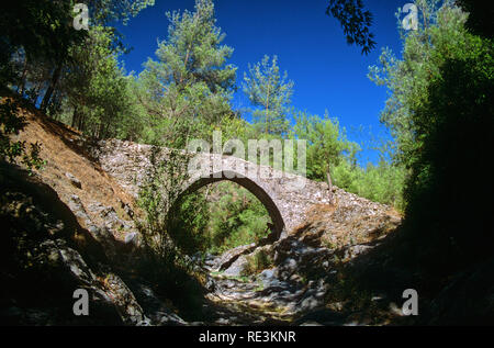 Schönen mittelalterlichen single-gewölbte Elia Brücke über einen kleinen Bach inmitten dichten grünen Pinienwald: Paphos, Zypern Stockfoto