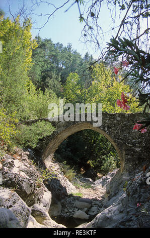 Schönen mittelalterlichen single-gewölbte Elia Brücke über einen kleinen Bach inmitten dichten grünen Pinienwald: Paphos, Zypern Stockfoto