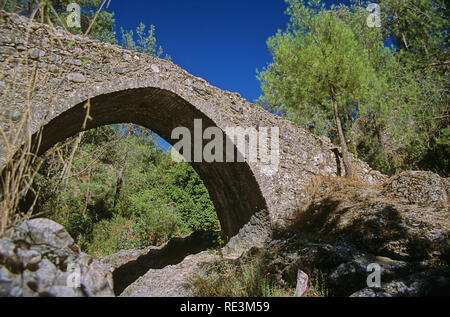 Schönen mittelalterlichen single-gewölbte Elia Brücke über einen kleinen Bach inmitten dichten grünen Pinienwald: Paphos, Zypern Stockfoto