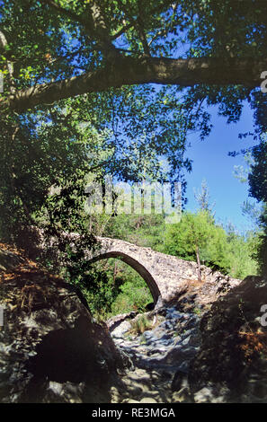 Schönen mittelalterlichen single-gewölbte Elia Brücke über einen kleinen Bach inmitten dichten grünen Pinienwald: Paphos, Zypern Stockfoto