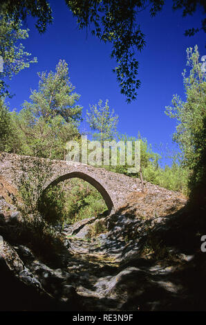 Schönen mittelalterlichen single-gewölbte Elia Brücke über einen kleinen Bach inmitten dichten grünen Pinienwald: Paphos, Zypern Stockfoto