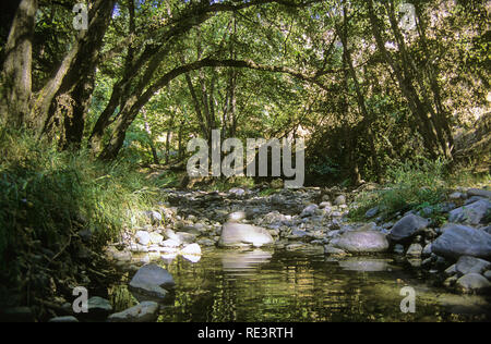 Oberlauf des Dhiarizos Stream in der Nähe von Kelefos Brücke, Paphos, Zypern Stockfoto